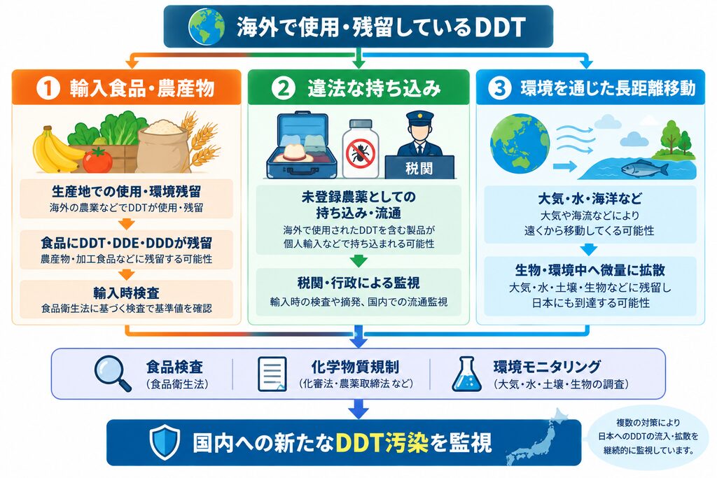 海外で使用・残留しているDDTが、輸入食品・農産物、違法な持ち込み、大気・水・海洋などを通じた長距離移動によって日本へ入り込む主な経路と、食品検査・化学物質規制・環境モニタリングによる監視を示した図