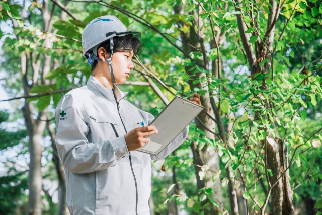 環境を調べてる作業員