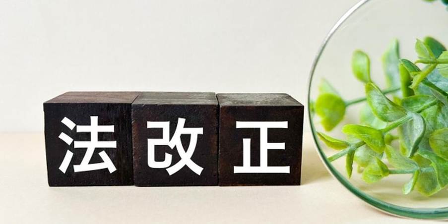 『法改正』の文字が書かれた黒い積み木と観葉植物