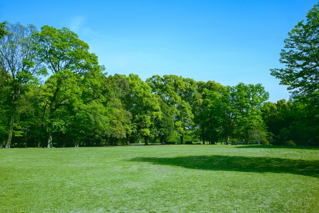 緑豊かな土地