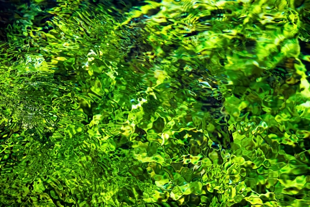 サステナビリティのイメージ　緑と川